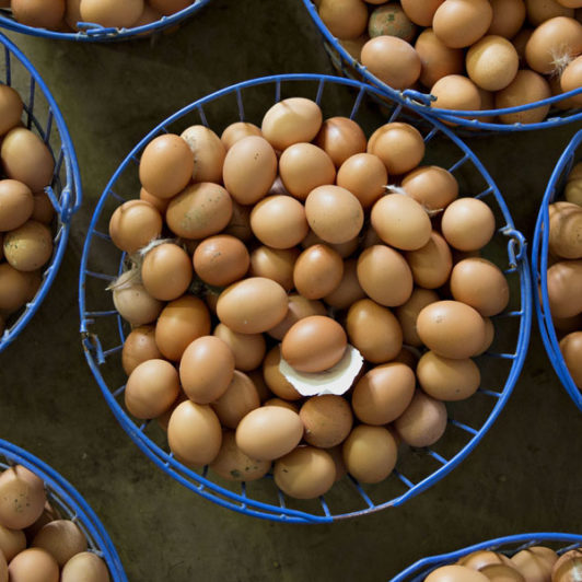 basket of eggs